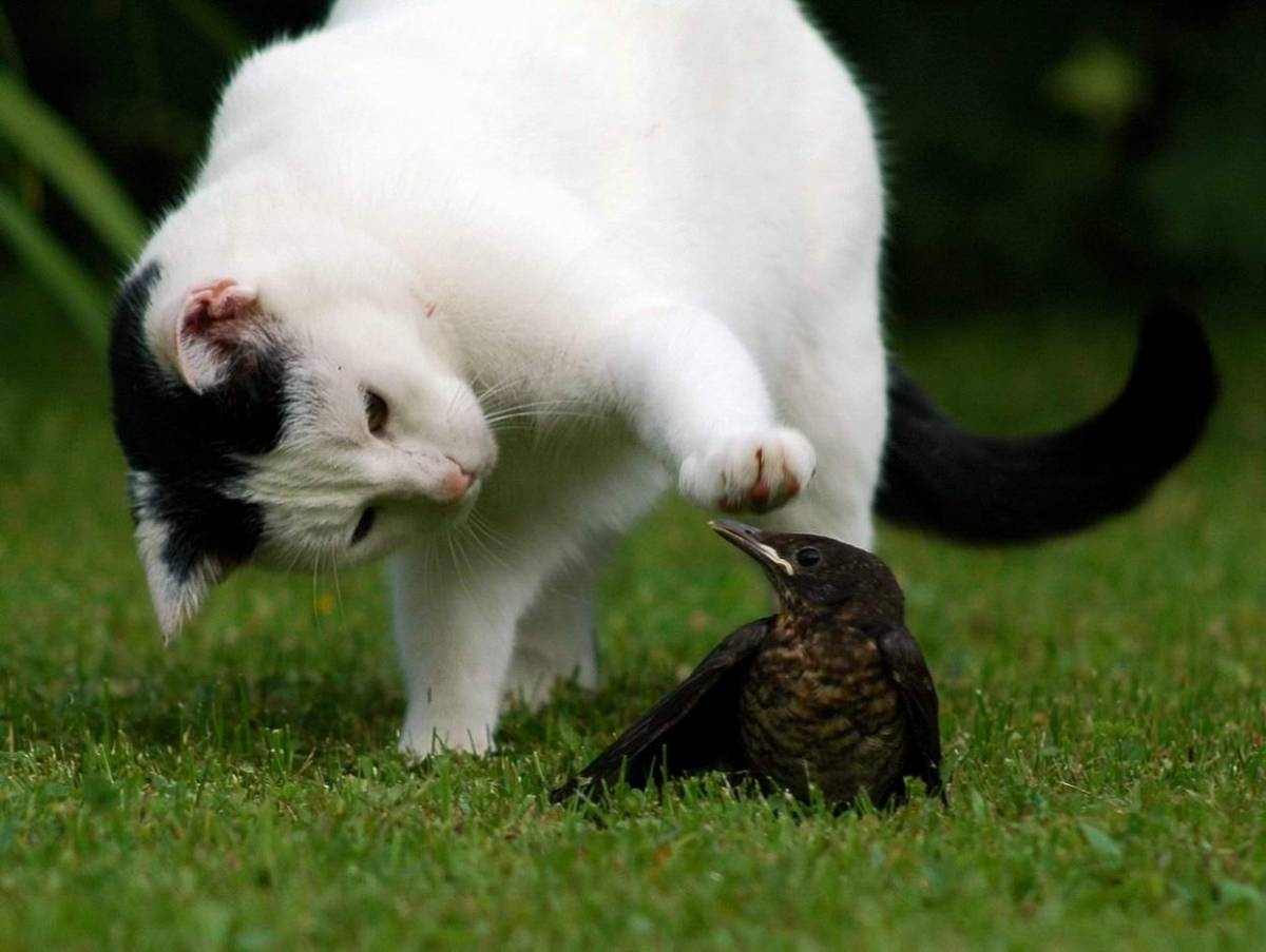 Reporterklasse Mnge Blog Verschiedene Gedichte