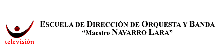 Maestro Navarro Lara TV