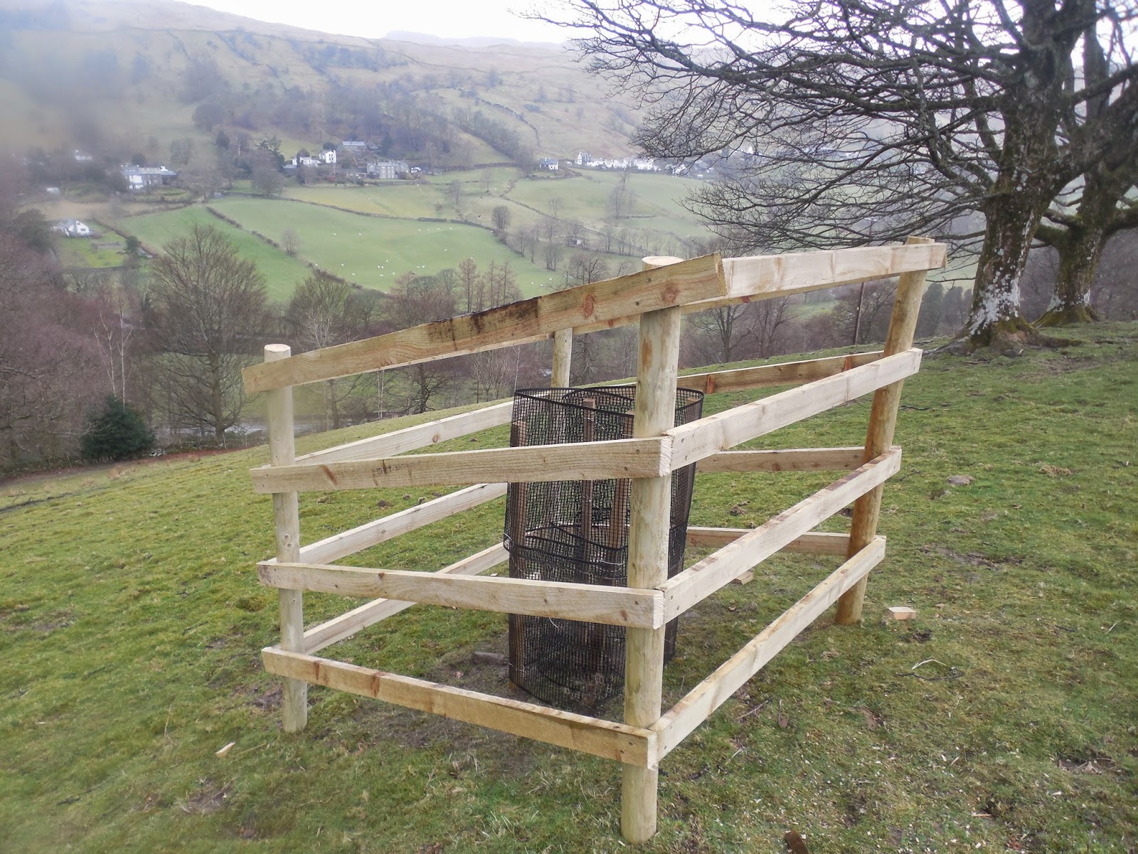 Central and East Lakes Rangers Tree Guards and Tree Planting The Howe