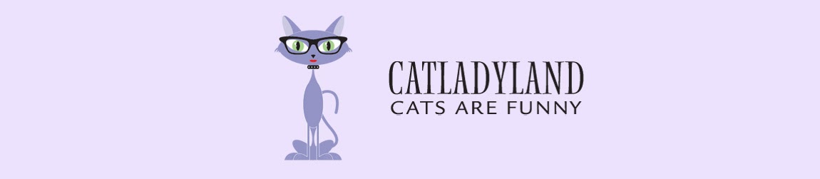 Catladyland: Cats are Funny