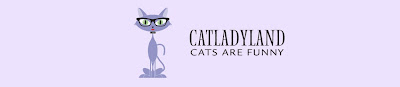 Catladyland: Cats are Funny