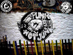 Punk not Junk