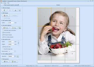 RonyaSoft Poster Printer 3.01.25 Portable
