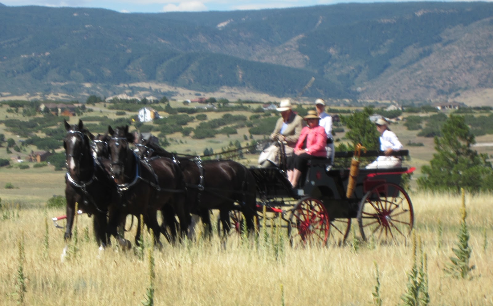 Moondance Ranch A Beautiful Day