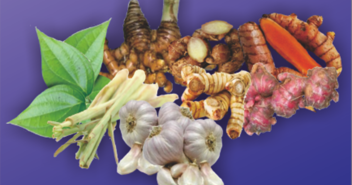 MJ Farm Banyuwangi JAMU HERBAL UNTUK AYAM