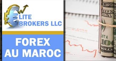 bfc forex lawyers