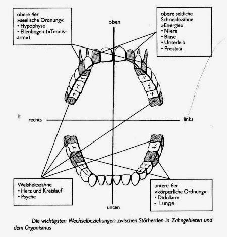 Https Azslide Com Philosophische Fakultt Ii 59f23abb1723ddf7c9d47842 Html