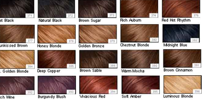 Hair Color Types Chart