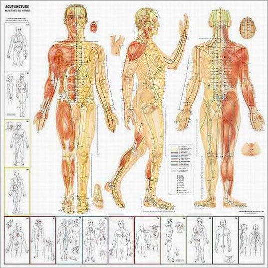 Pressure Points To Knock Someone Out Chart
