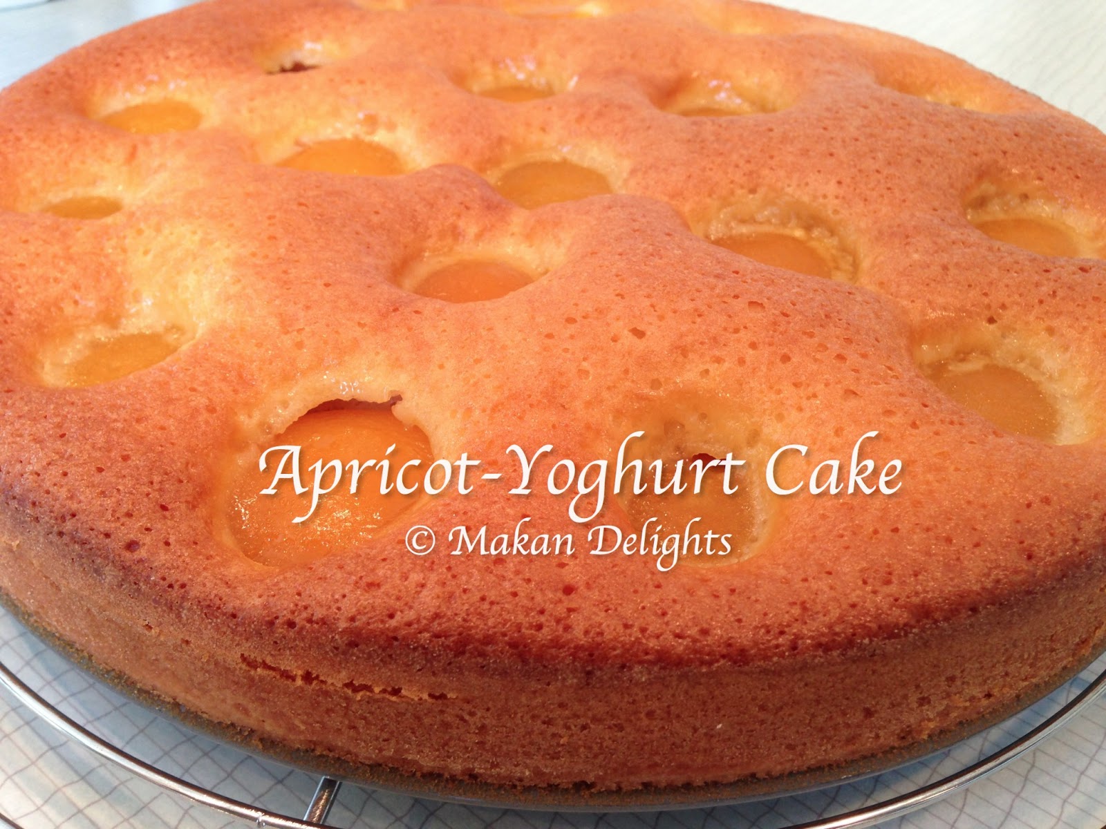 Makan Delights ApricotYoghurt Cake