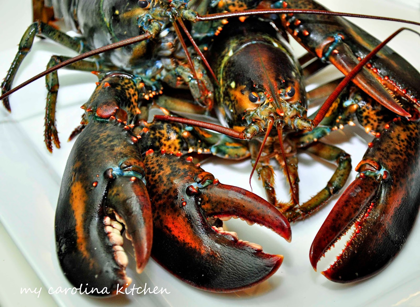 My Carolina Kitchen: Lobster Rolls - a quintessential ...