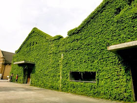 Green House Huashan Creative Park