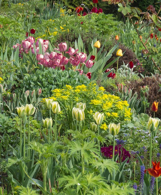 Neuer Gartentraum Latest Snapshot Chan 6097002 Rssing Com