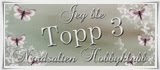 Topp 3 hos Nordsalten Hobbyklubb!