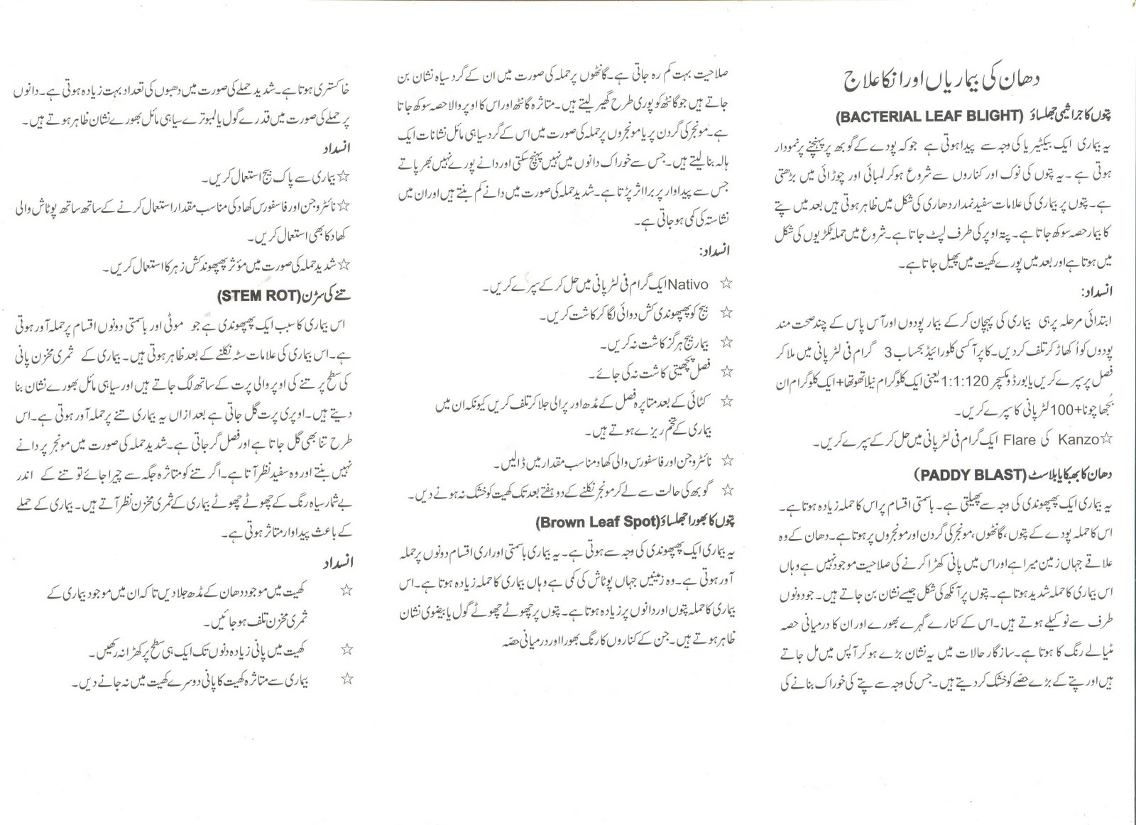 Meaning Of Rice Grain In Urdu at Frank Orosco blog