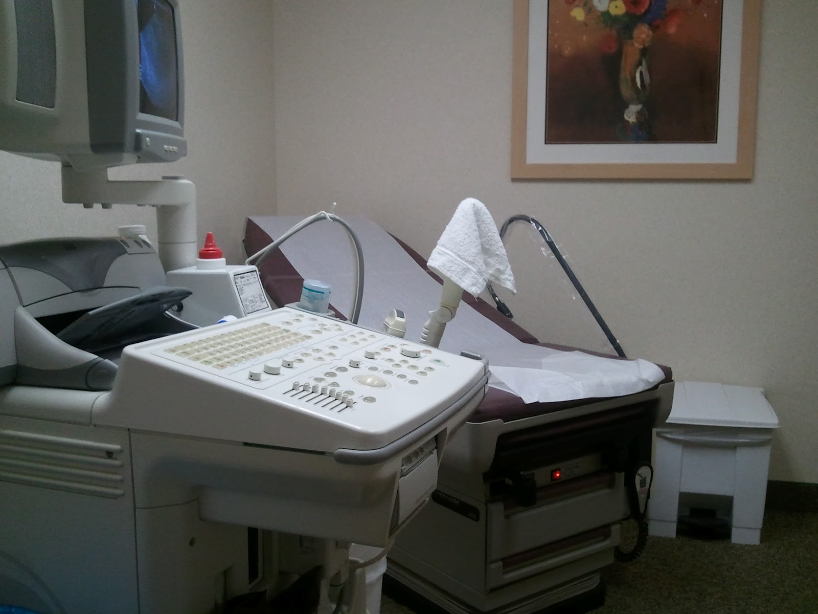 Hands and Hearts More Than Full PREGNANCY // HOME VS. HOSPITAL