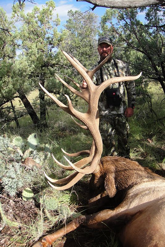 Colburn and Scott Outfitters G Todd Brooks 375" AZ Archery Elk