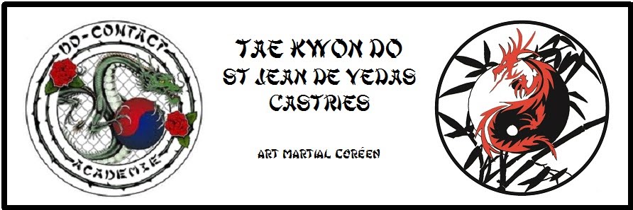 TAE KWON DO St Jean de Vedas - Castries