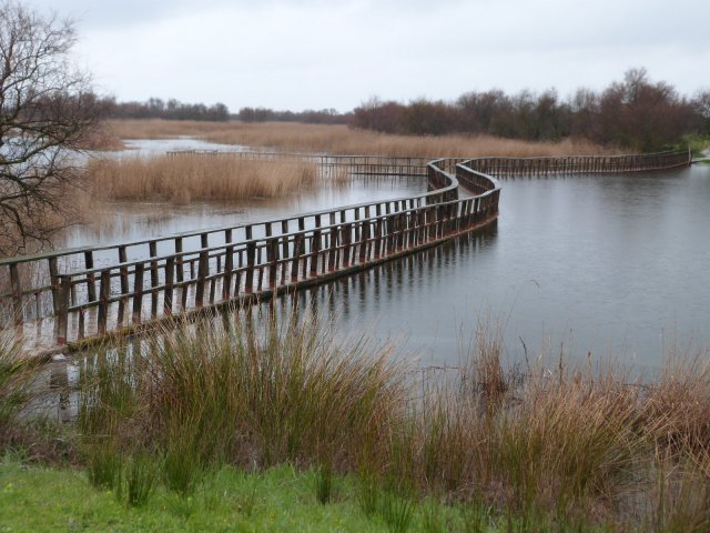 TABLAS DE DAIMIEL