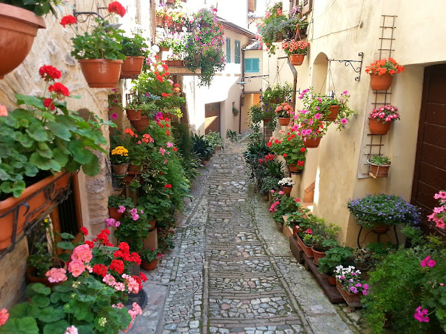 %25D0%25A1%25D0%25BF%25D0%25B5%25D0%25BB