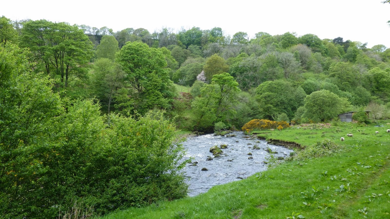 Backsbottom Farm