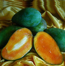 mangga