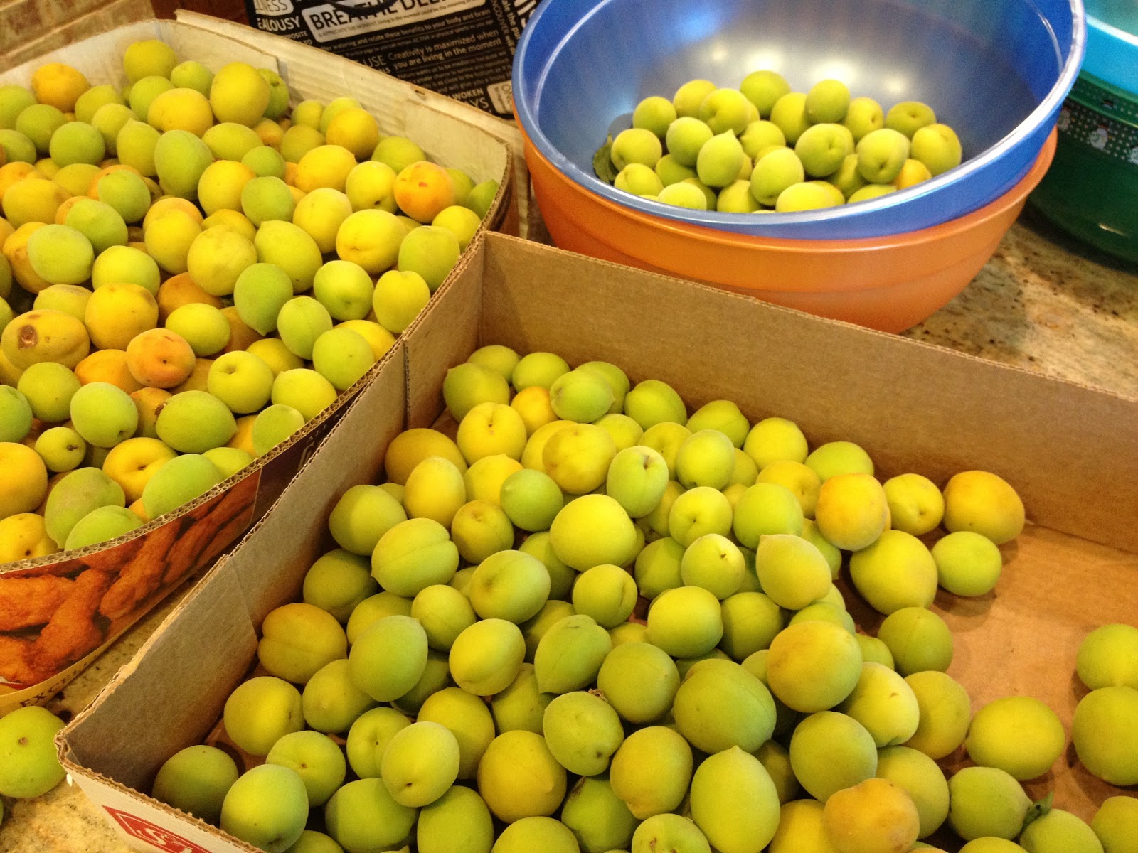 Mystery fruit looks like apricot?