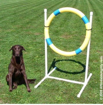 Grace And Buster: Diy Agility Equipment: Tire Jump