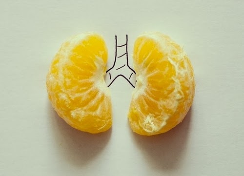 13-Lungs-Illustrator-Javier-Pérez-aka-cintascotch-Design-in-Real-World