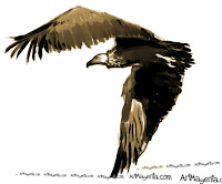 Cinereous Vulture is a bird drawing by Artmagenta
