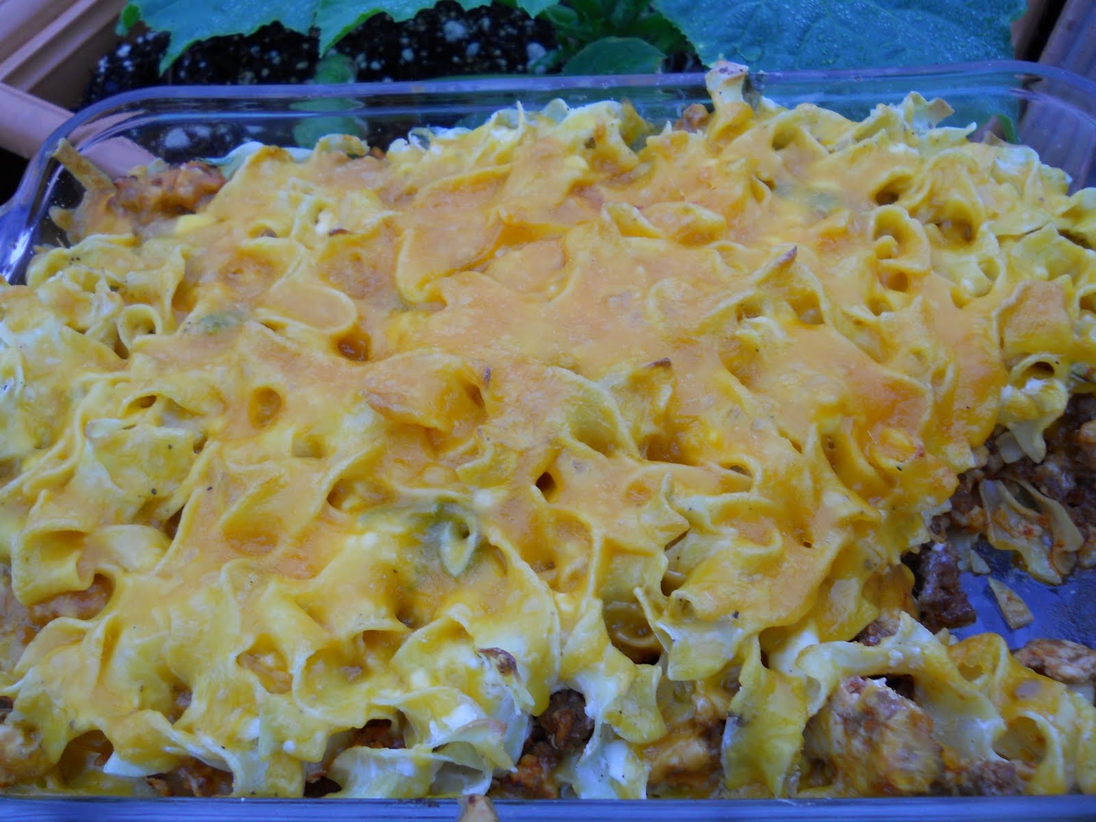 Life In A Pink Bunny Suit Sour Cream Noodle Bake