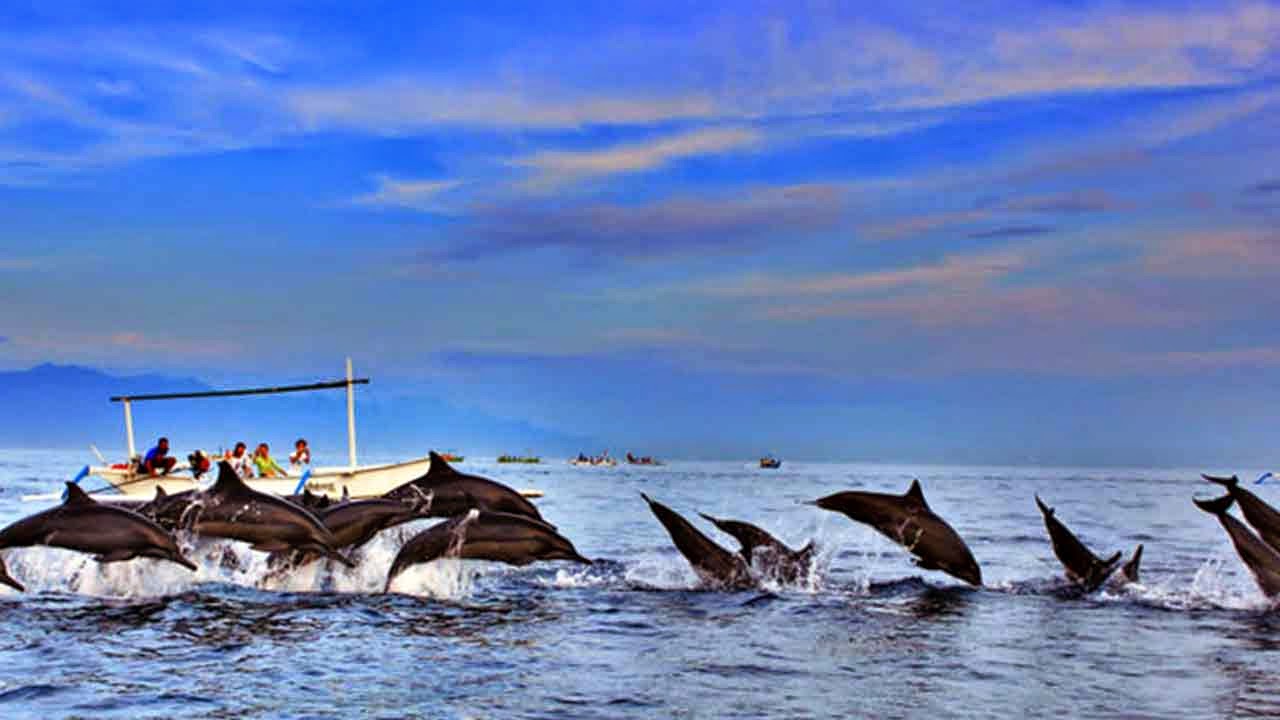 Travel Mate Beautiful Sunrise and Dolphin in Lovina Beach, Bali