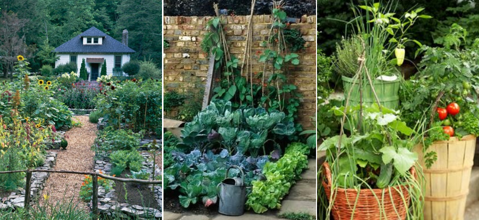 farangullas: farangullas jardineras...