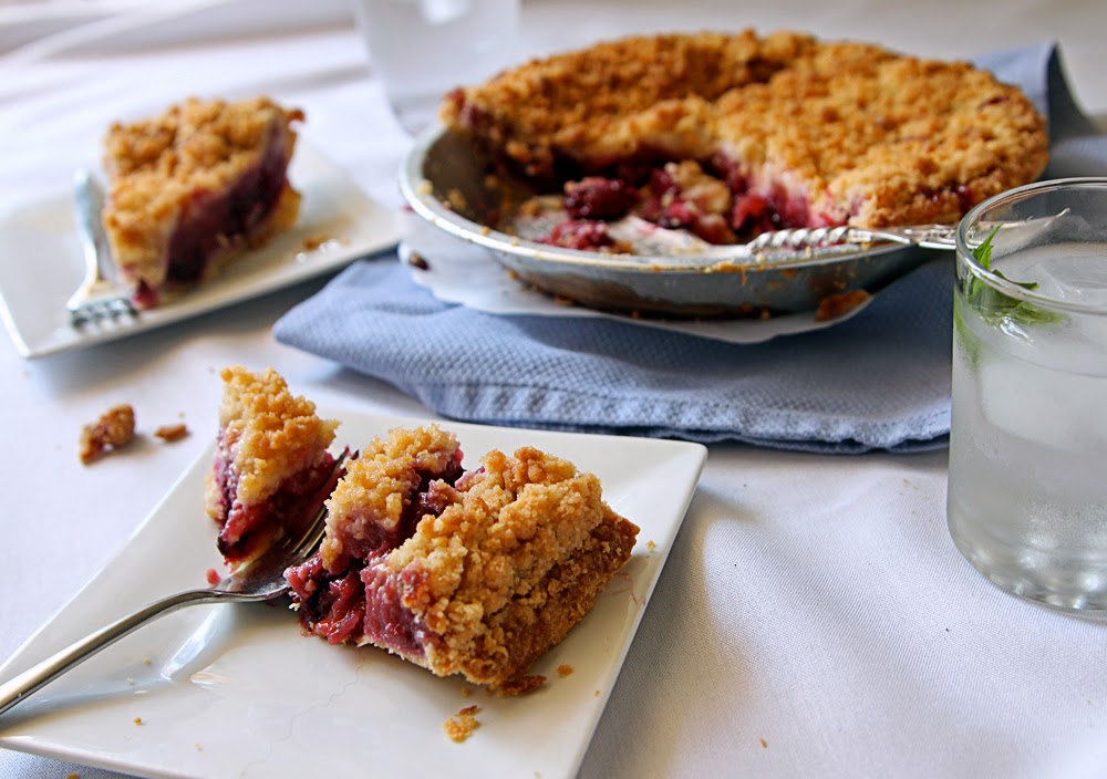 There's a Newf in My Soup! Volcun Mountain with Southern California