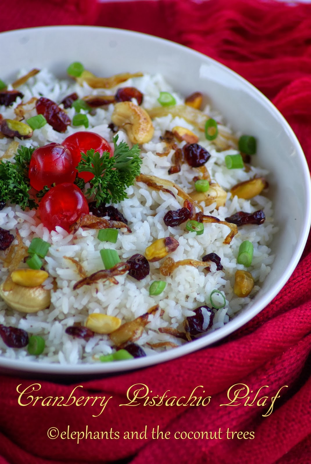 elephants and the coconut trees Cranberry Pistachio Pilaf / Christmas