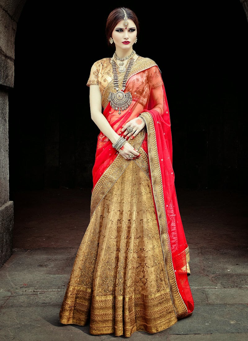 Lengha choli fashion dress 58 Lengha choli fashion dress 8