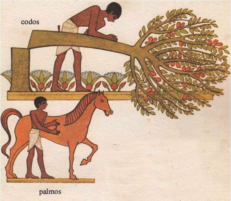 Blog de arinda: historia de las medidas narrada para niÃos