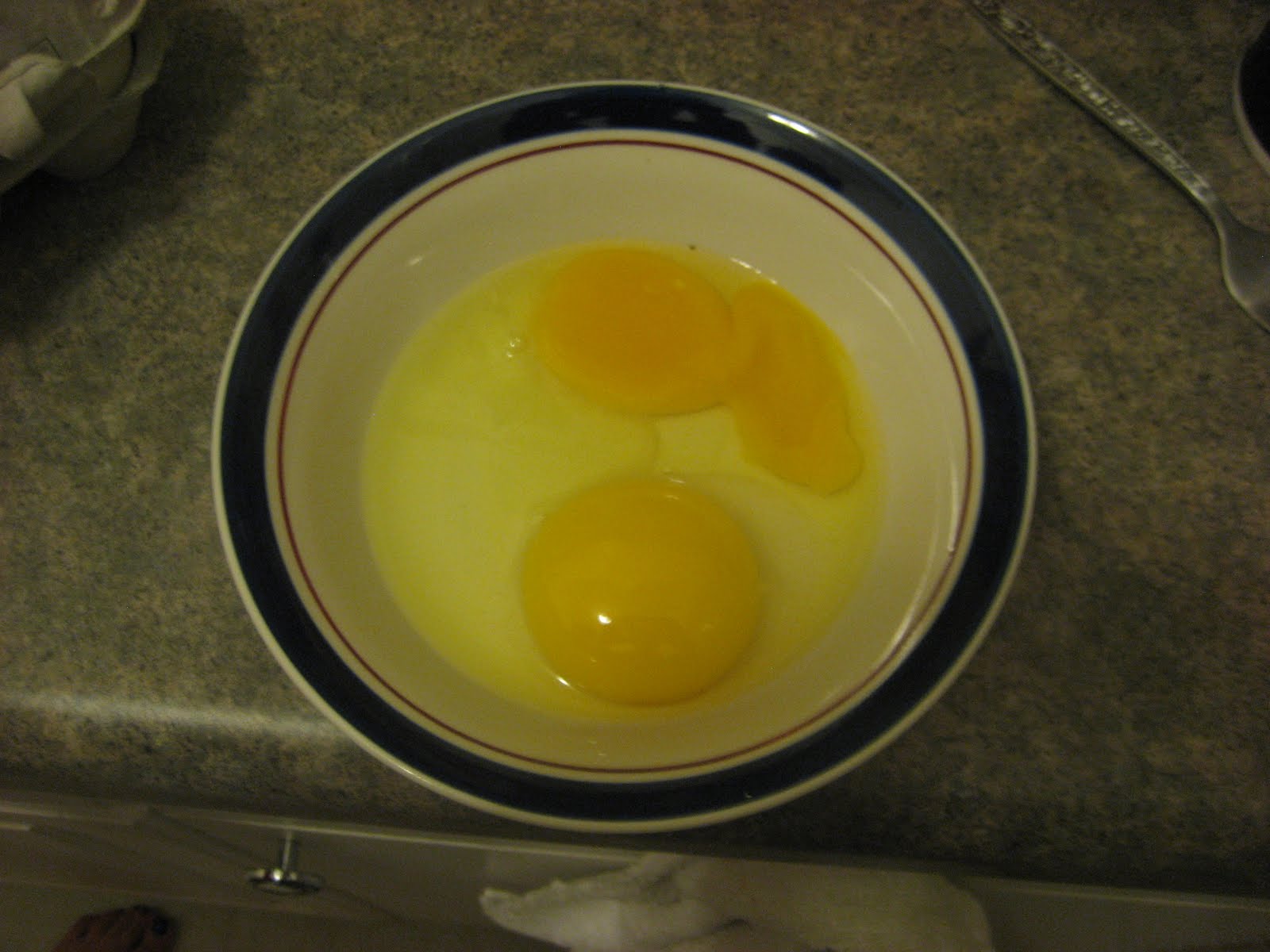 Kelly's Kitchen Duck Egg Omelet