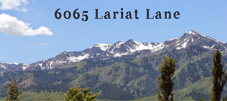 6065 Lariat Lane