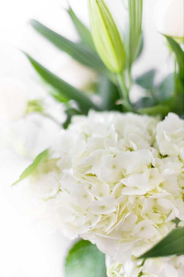 Cottage Farms 1 Piece Vanilla Strawberry Hydrangea Tree Qvc Com