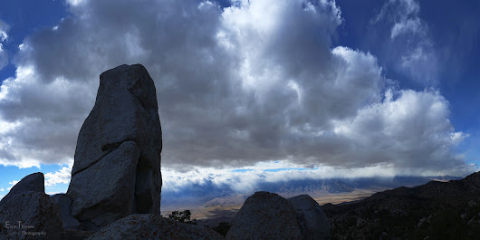 Wandering with Winnedumah