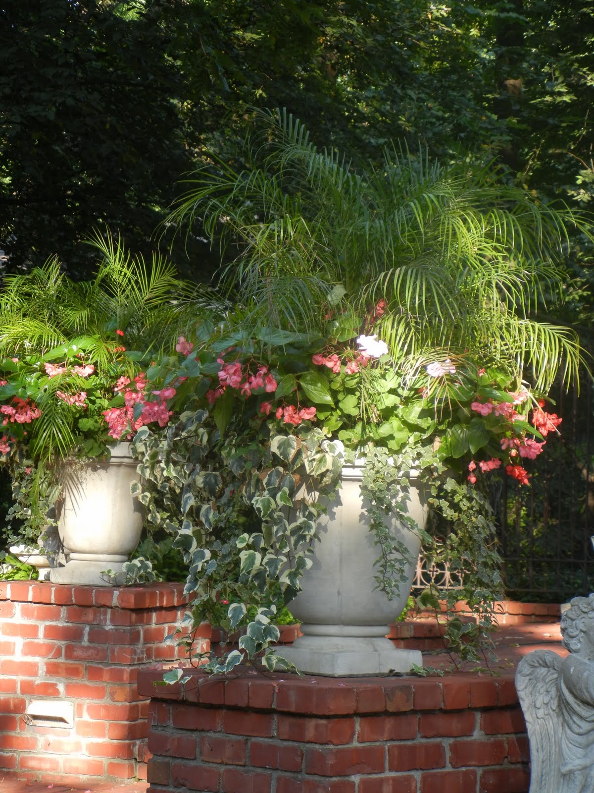 The French Tangerine kelly's garden