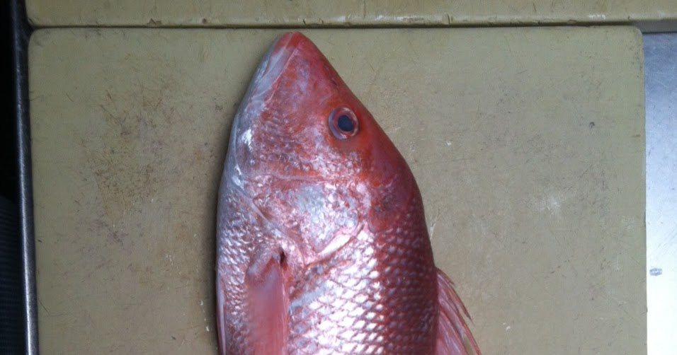 The Edible Ocean Buying By The Guide