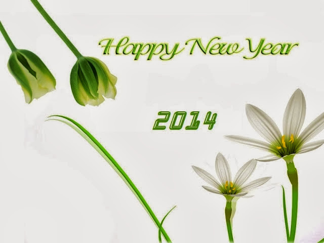 Latest Happy New Year Wallpapers 2014 for Free Download 2014 Happy New Year Wallpapers