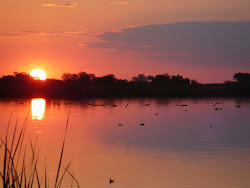 Laguna de San Vicente