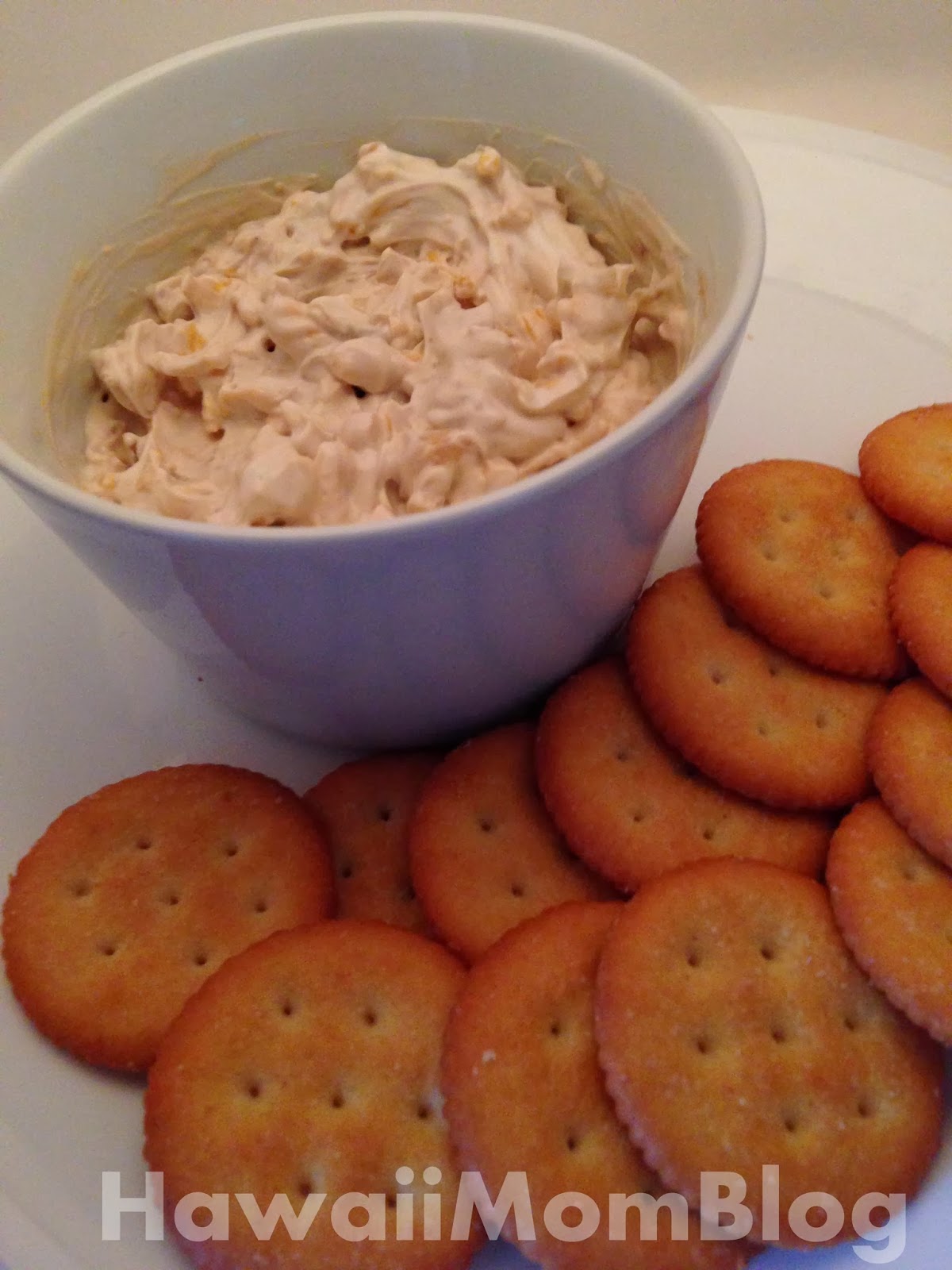 Hawaii Mom Blog Easy Cheesy Onion Dip Recipe