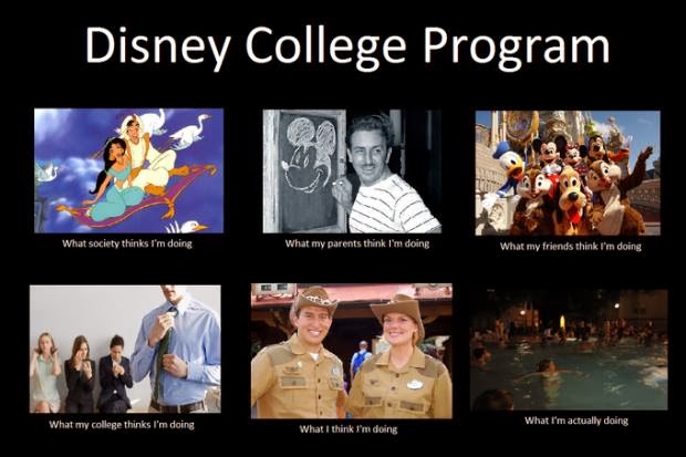 Disney College Program Acceptance Revoked