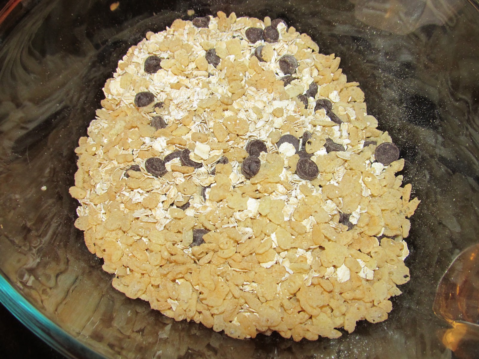 Charlie The Cavalier No Bake Oatmeal / Granola Balls / Bars Recipe