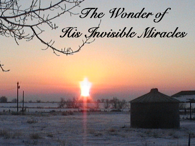 His Invisible Miracles