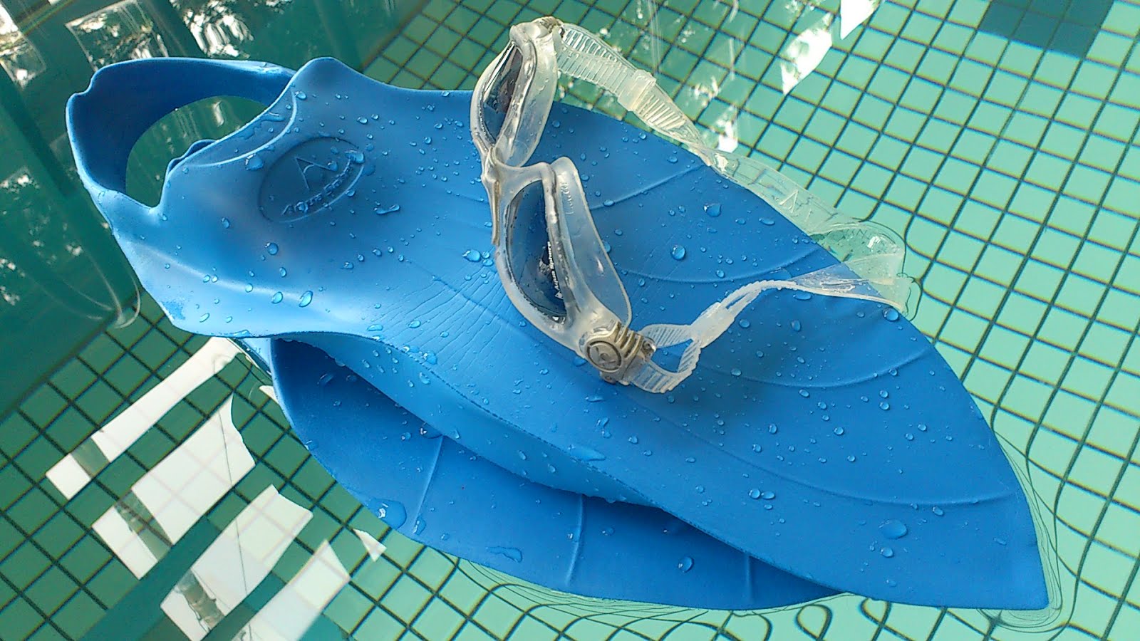 LIFE…of my life Aqua Sphere Alpha Fins Large, TYR Catalyst Hand Paddle